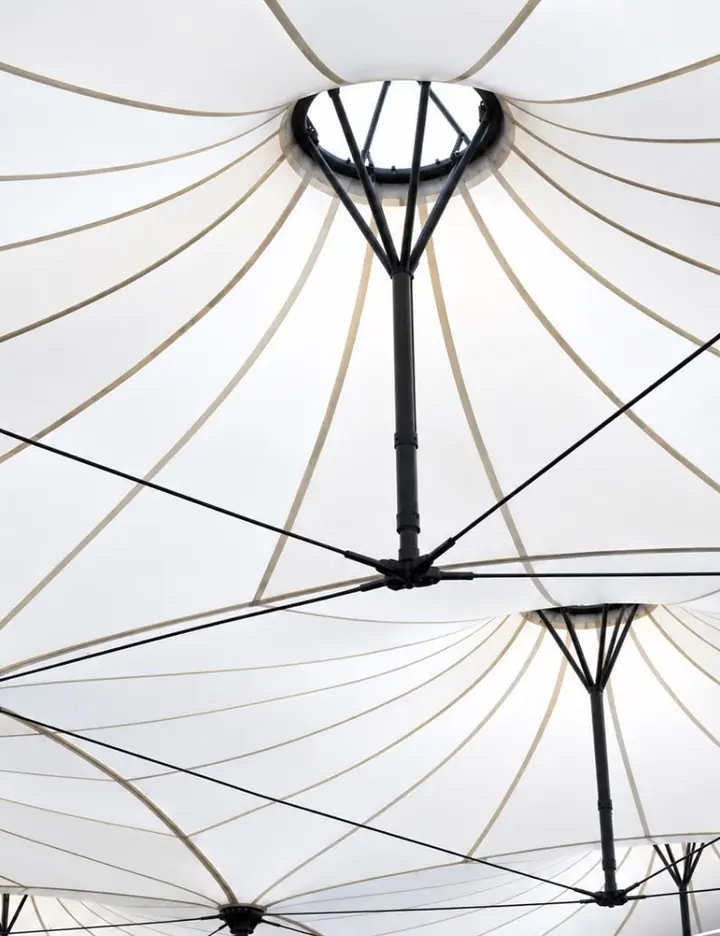 Underside of membranes and structural connection rings
